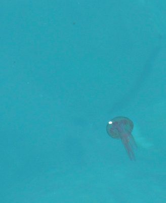 Adriatic Sea I